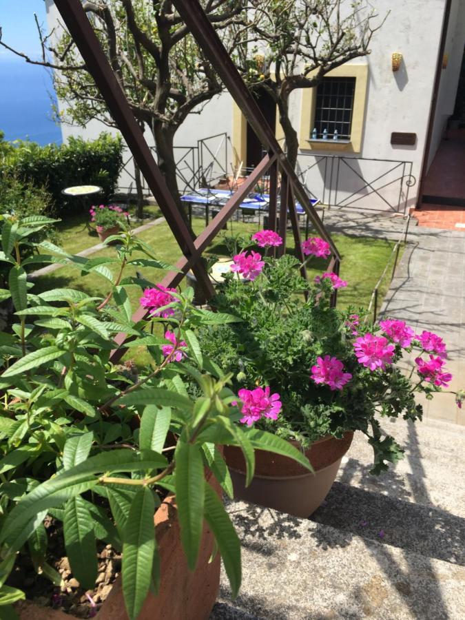 Villa L' Eco Dell' 800 푸로레 외부 사진