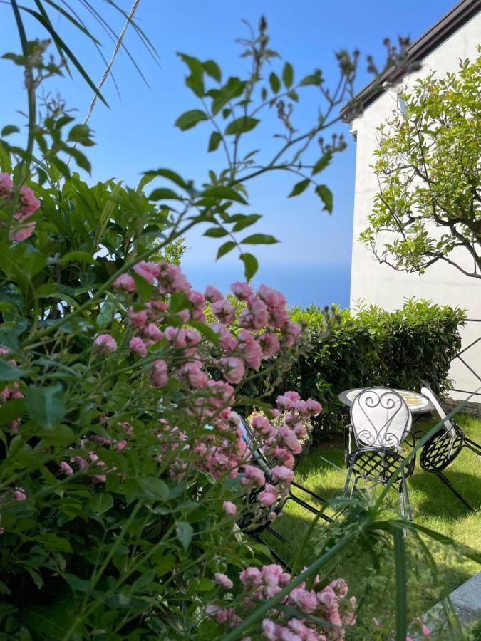 Villa L' Eco Dell' 800 푸로레 외부 사진