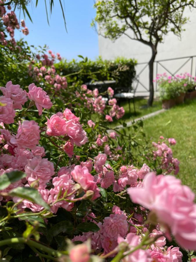 Villa L' Eco Dell' 800 푸로레 외부 사진